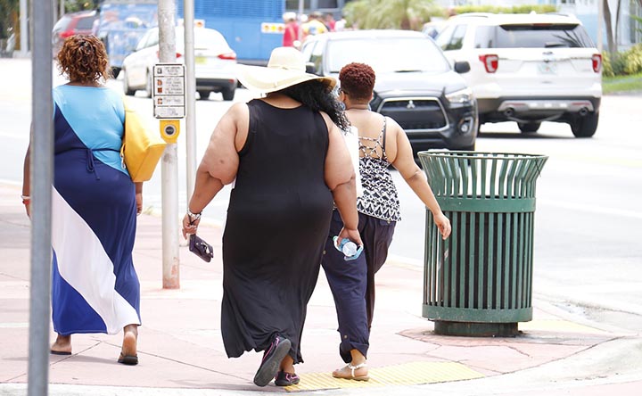 obesita