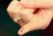Microchip sottocutanei e social rating saranno presto realtà?