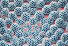 Rieducare il Cancro: La Rivoluzione Scientifica che Vede il Tumore non come un Nemico da Uccidere, ma come un Tessuto da Riprogrammare